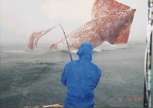 Mother of all squid Mother of all squid